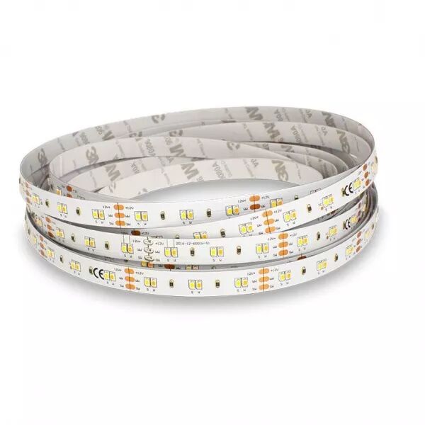 BANDEAU BLC CCT 2000-6500K 5M (100708)