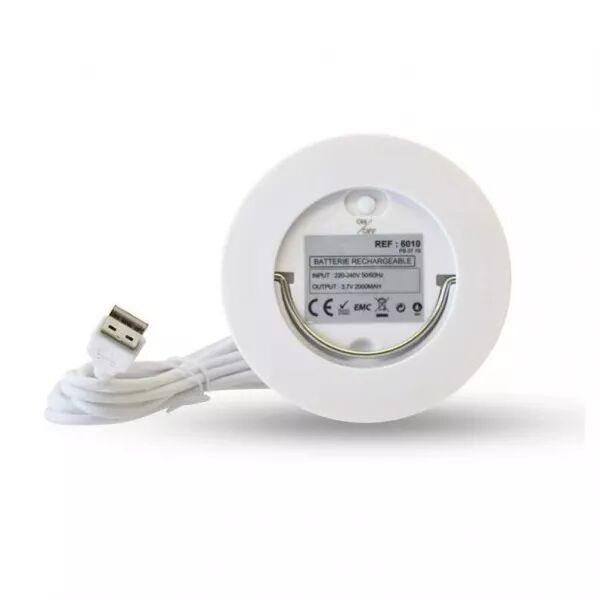 BATTERIE RECHARGEABLE (6010)