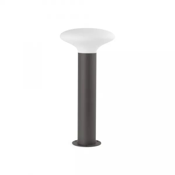 Blub\'S Borne  Gris Fonc� H610 (74434B-03)