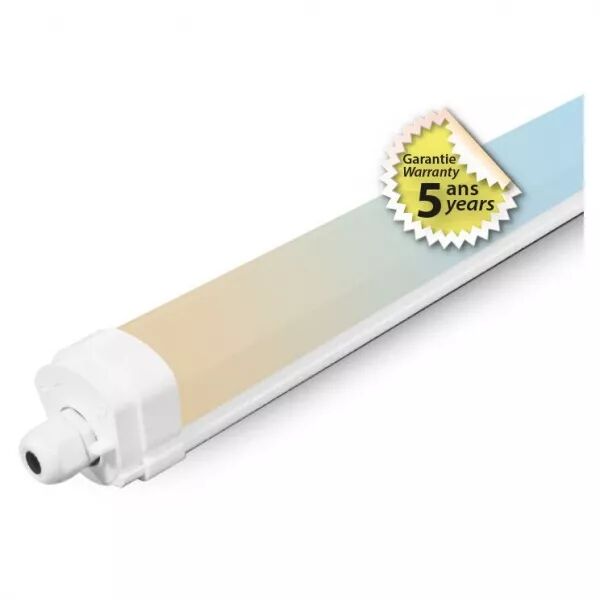 DANUBE CCT ETANCHE 1555MM 50W (100385)
