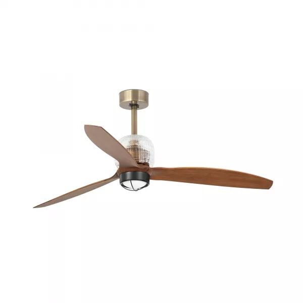 Deco Fan Led Ventilateur De Plafond (33398D-10)