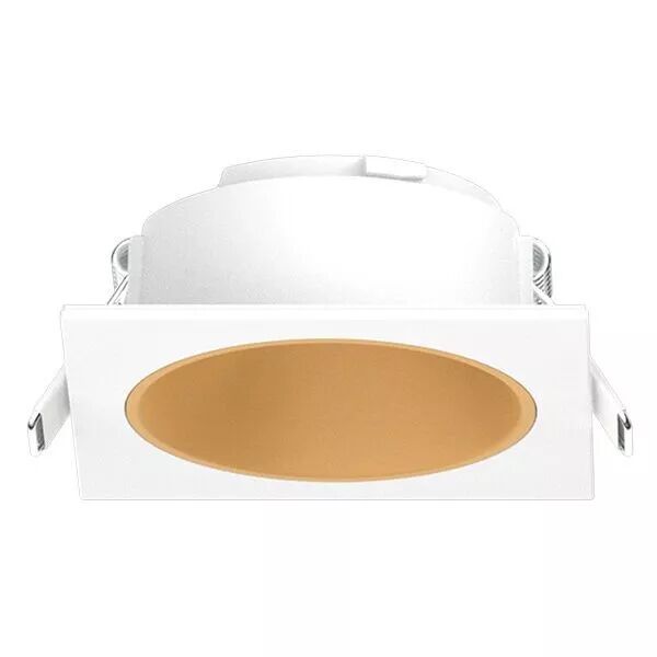 ECLAT CCT II COL BL BLC/DORE (100286)