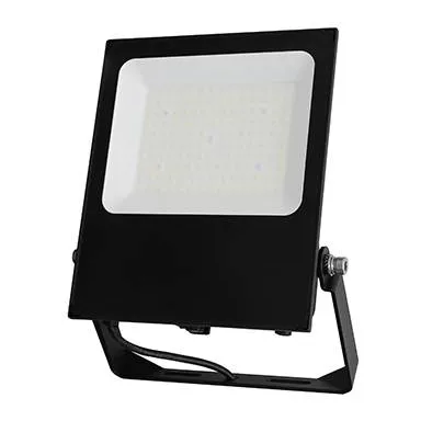 INDIGO-INDY 1 65W-80W-125W 3000K 120� IP65 Noir (FL100WW05)