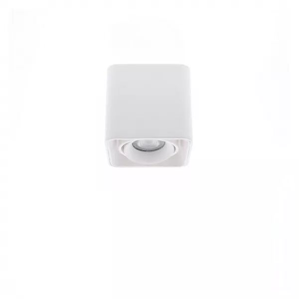 INDIGO-LUPO 1 GU10 MAX10W PAR16 Blanc mat (WA20330)
