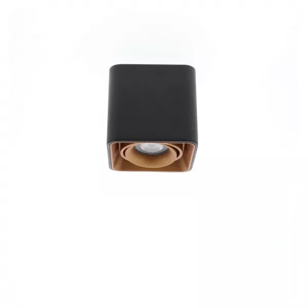 INDIGO-LUPO 1 GU10 MAX10W PAR16 Noir - Dor� (WA20318)