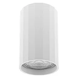 INDIGO-OKTO GU10 MAX10W PAR16 Blanc mat (WA22930)