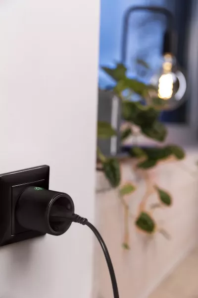 ldv smart+ zb plug bk (4099854295256)