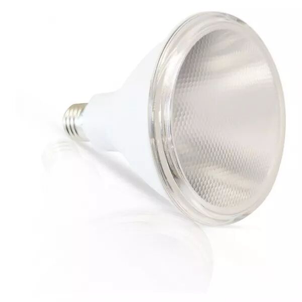 LED PAR38 15W E27 4KK IP65 (100681)