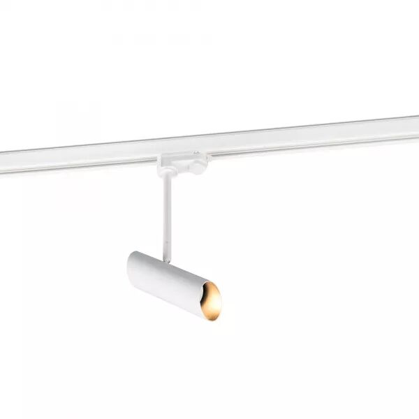 Link Projecteur Sur Carril Blanc (29871)