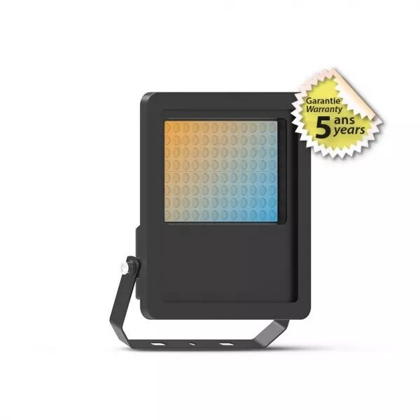 LUMOS PRO PROJECTEUR 70W (100852)