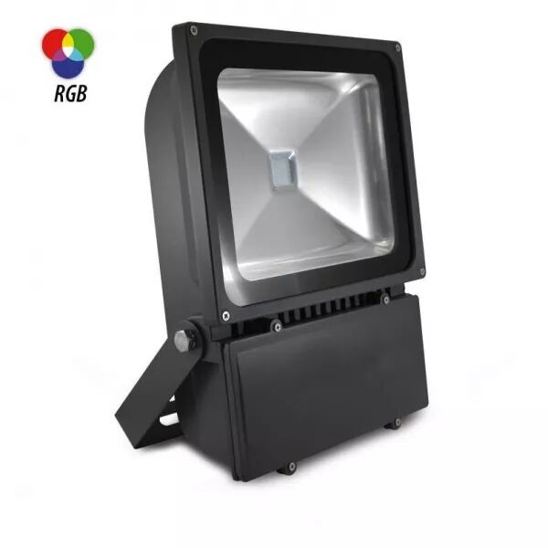 PROJ 100W RGB GRIS RF (8047)
