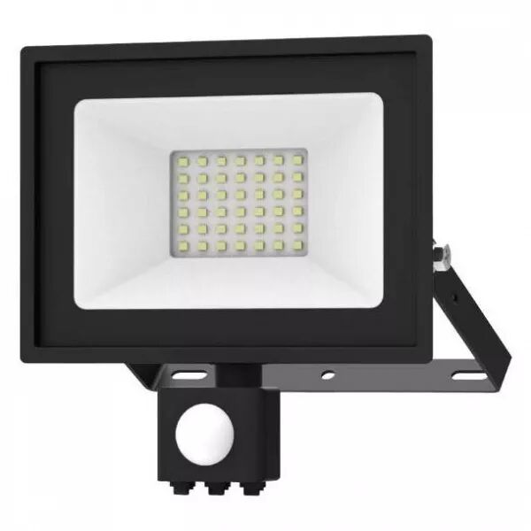 PROJ 30W 3000K PLT+DT IP65 (80381)