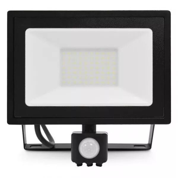 PROJ 50W 3000K PLAT NOIR DET (80391)