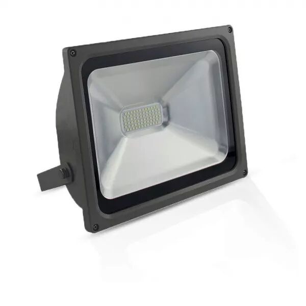 PROJ 50W 3000K PLT GRIS IP65 (80081)