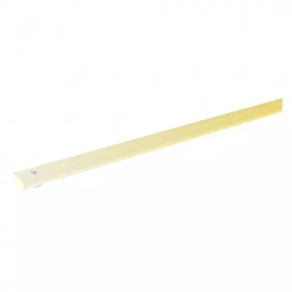 PROLINE LINEAIRE MODULE LED (100629)