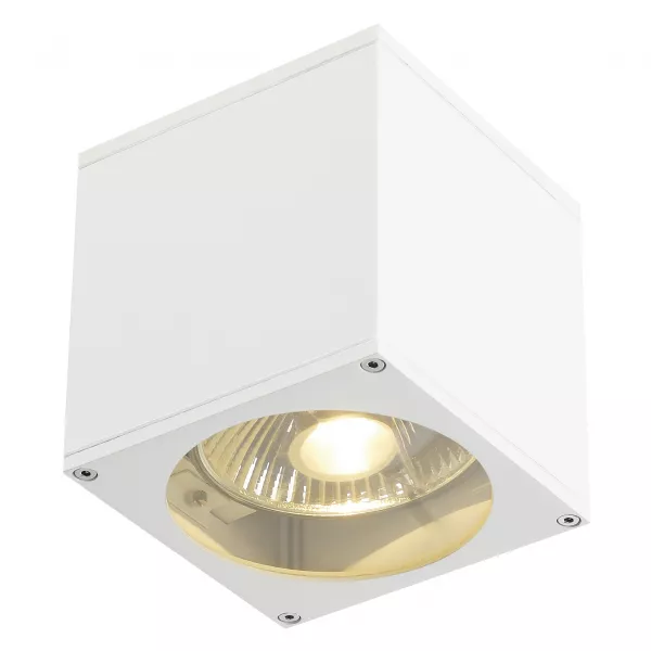 SLV - BIG THEO, applique ext�rieure, blanc, GU10/QPAR111, 75W max, IP44 (229561)