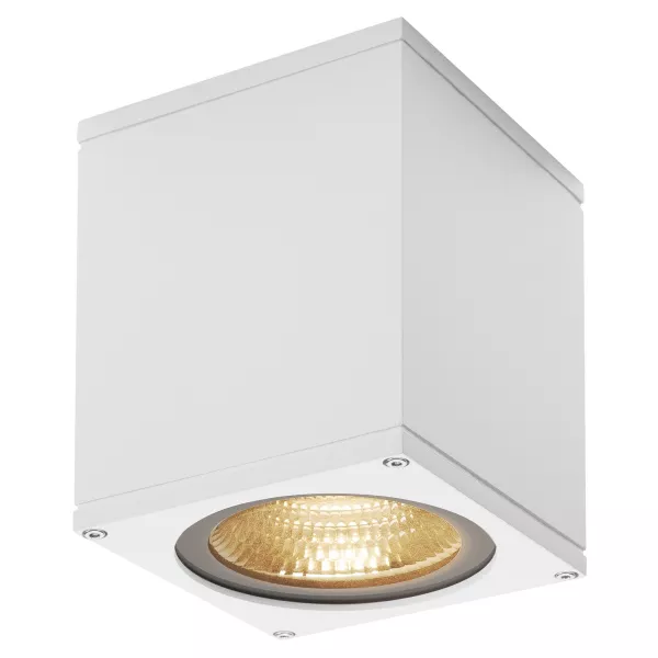 SLV - BIG THEO, applique ext�rieure, blanc, LED, 21W, 3000K, IP44 (234521)