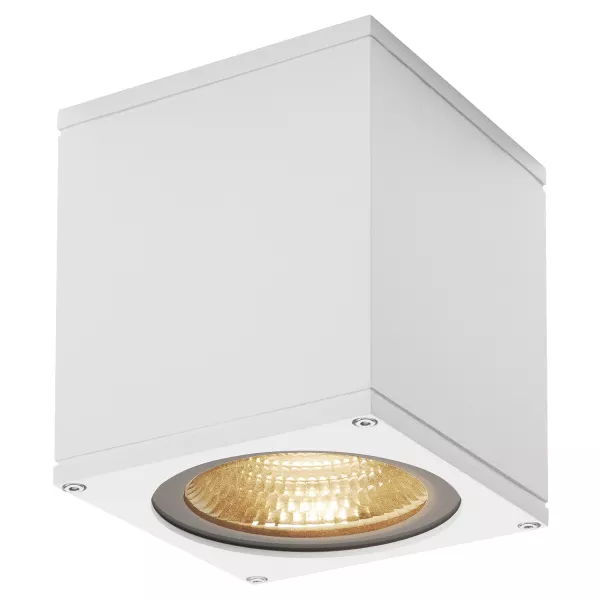 SLV - BIG THEO, plafonnier ext�rieur, blanc, LED, 21W, 3000K, IP44 (234531)