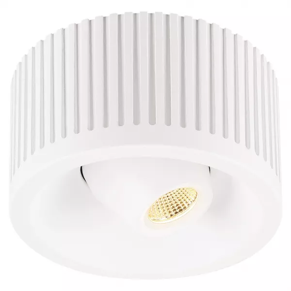 SLV - OCCULDAS 13 MOVE, �clairage direct, spot orientable,  LED, blanc, 3000K (117361)