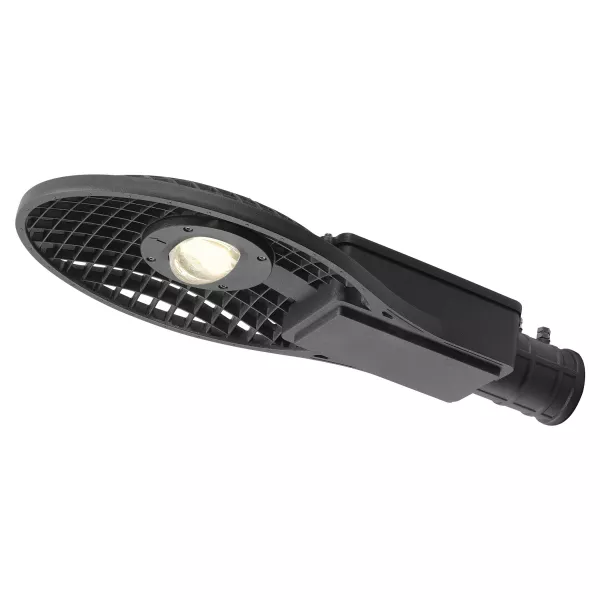 SLV - WILRON L, projecteur ext�rieur, anthracite, LED, 65W, 4000K, IP55 (234215)