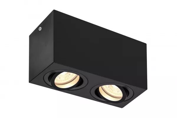 TRILEDO Double, plafonnier en saillie, (1002005)